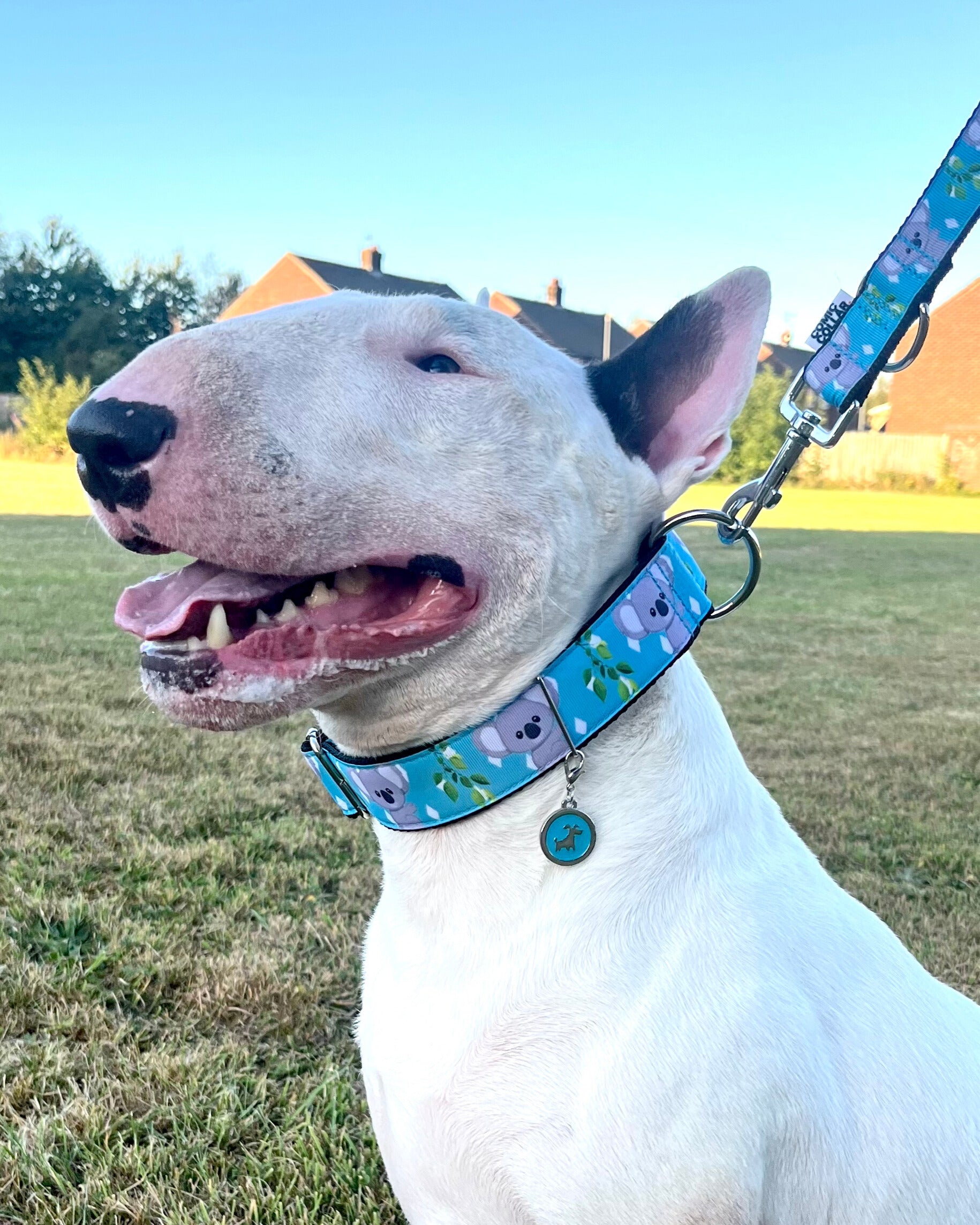 DOG COLLAR BUCKLE - KOALA