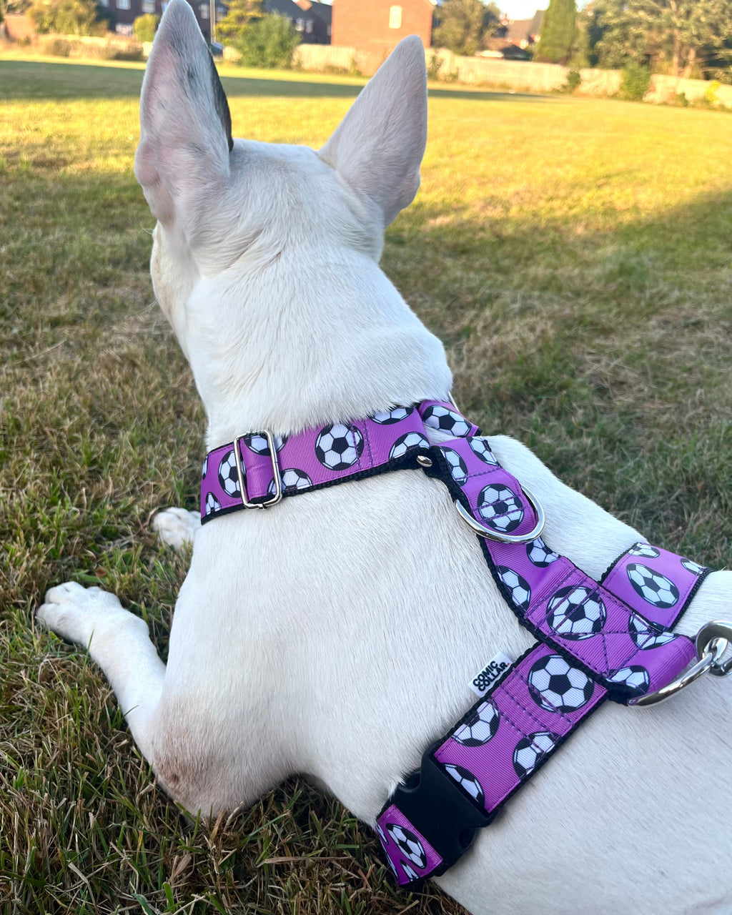 DOG HARNESS - FOOTBALLS