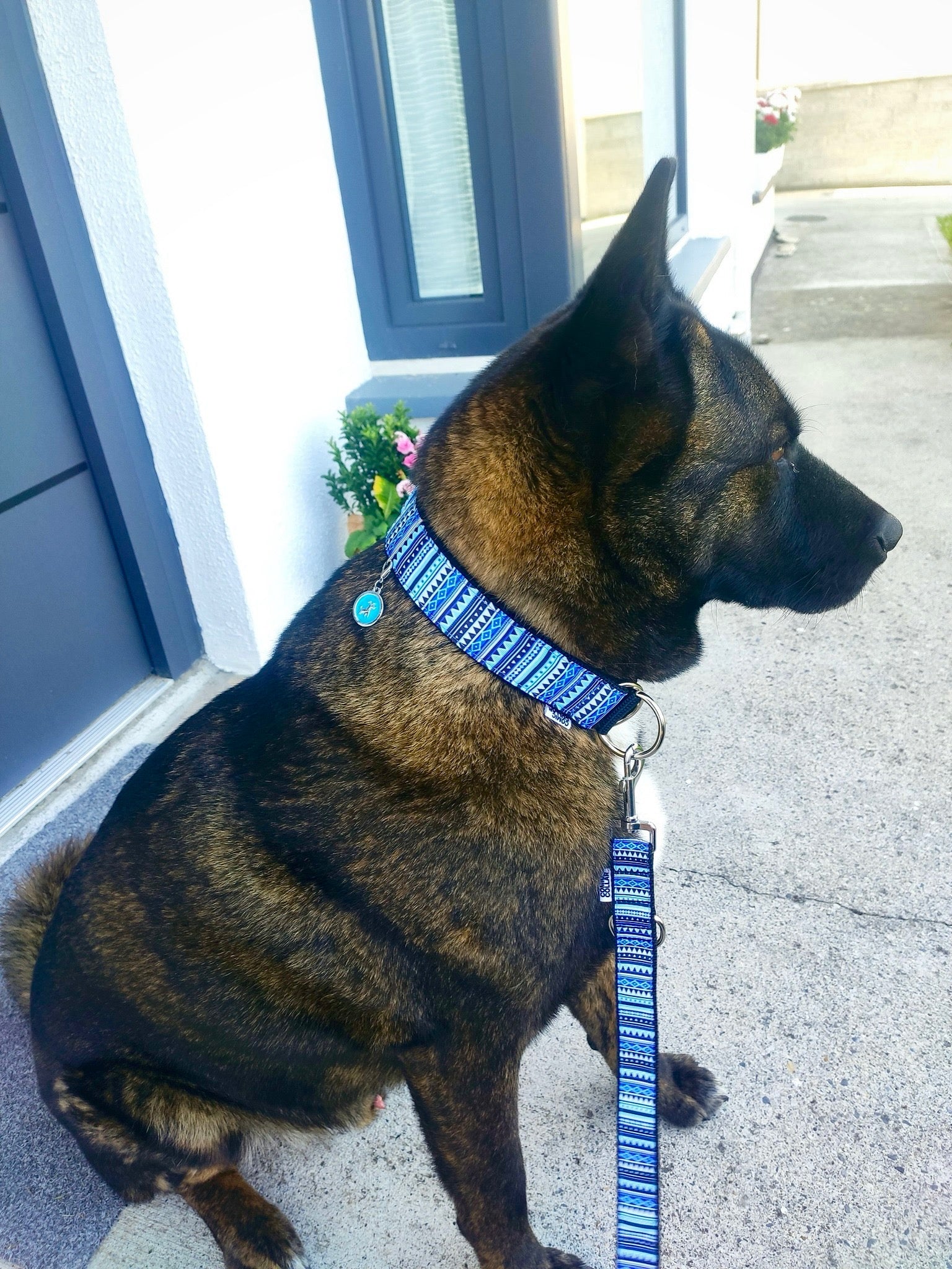 DOG COLLAR AZTEC BLUE - HALF CHOKE