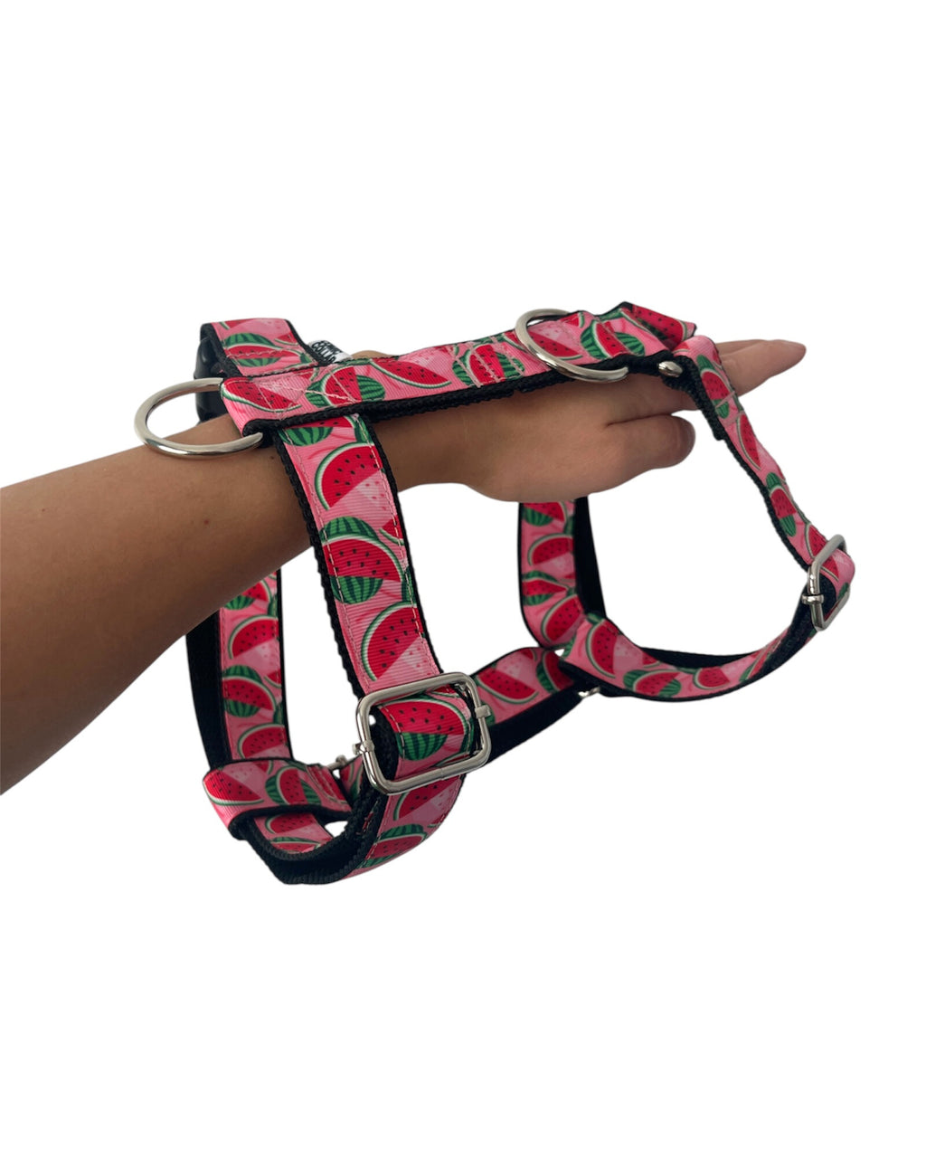 DOG HARNESS - WATERMELON
