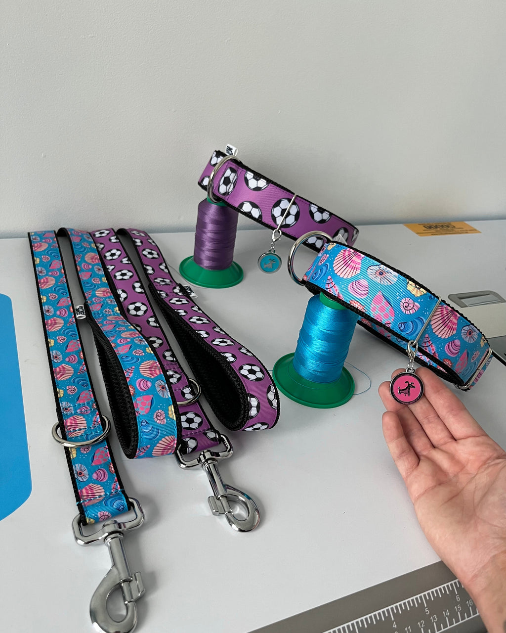 DOG COLLAR BUCKLE - SHELLS