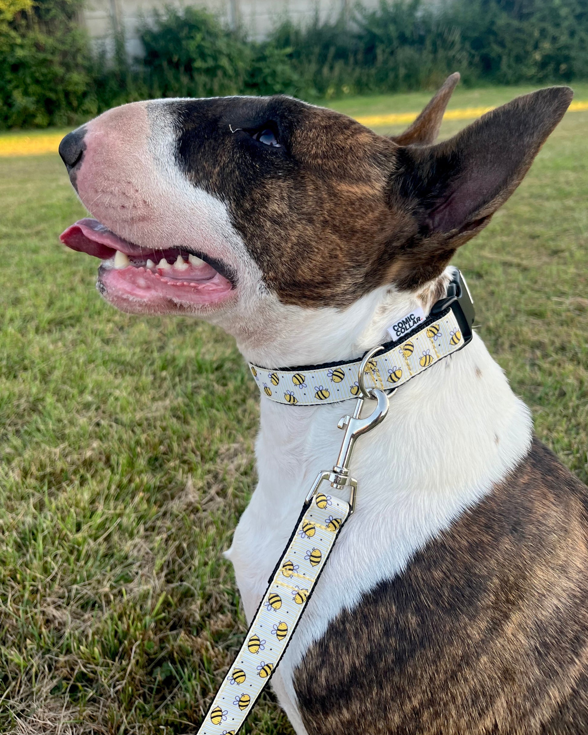 DOG COLLAR BUCKLE - BEE