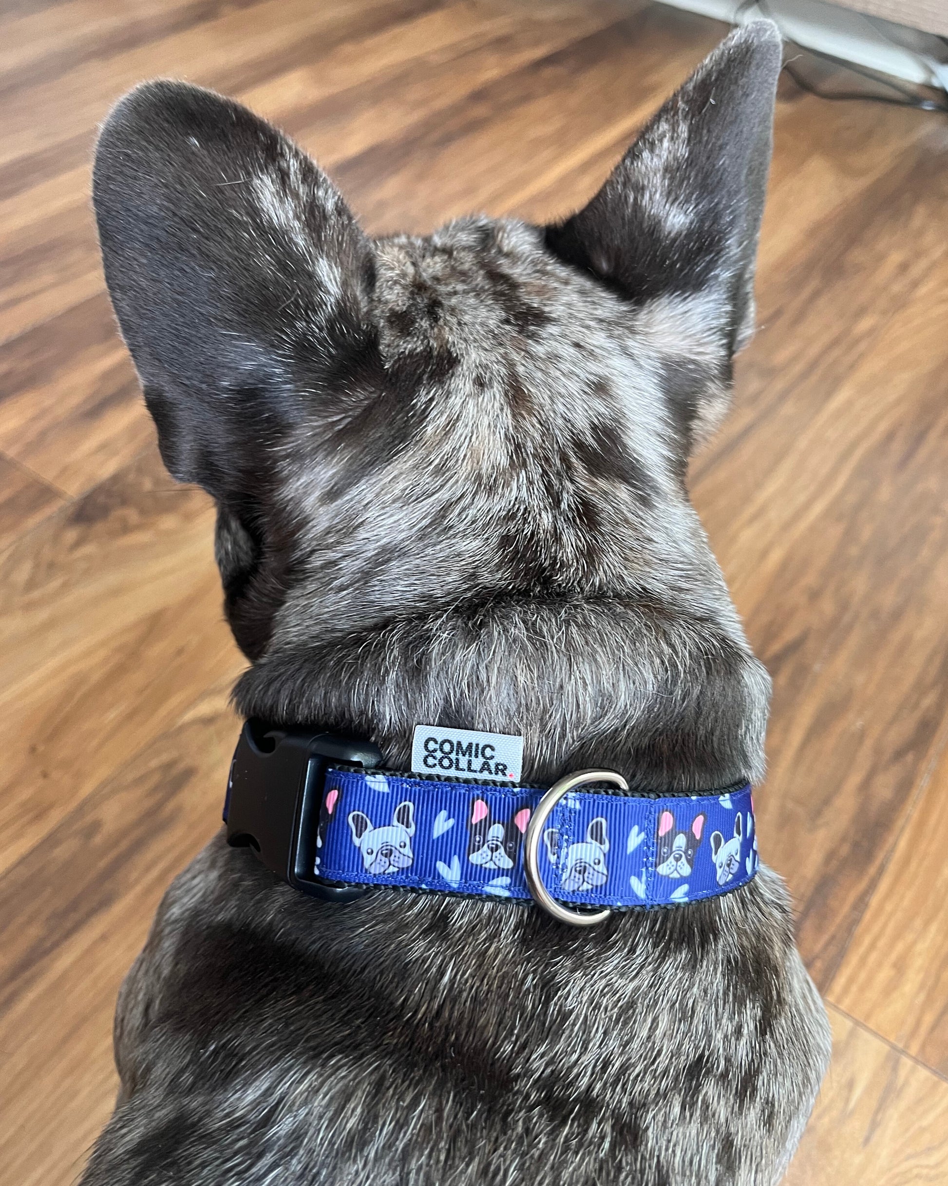 DOG COLLAR BUCKLE - FREANCHIE NAVY