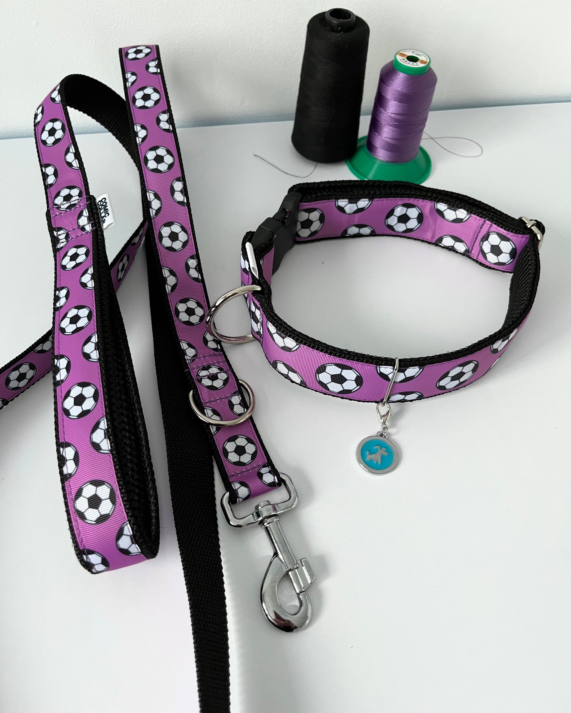 CITY LEASH - FOOTBALLS