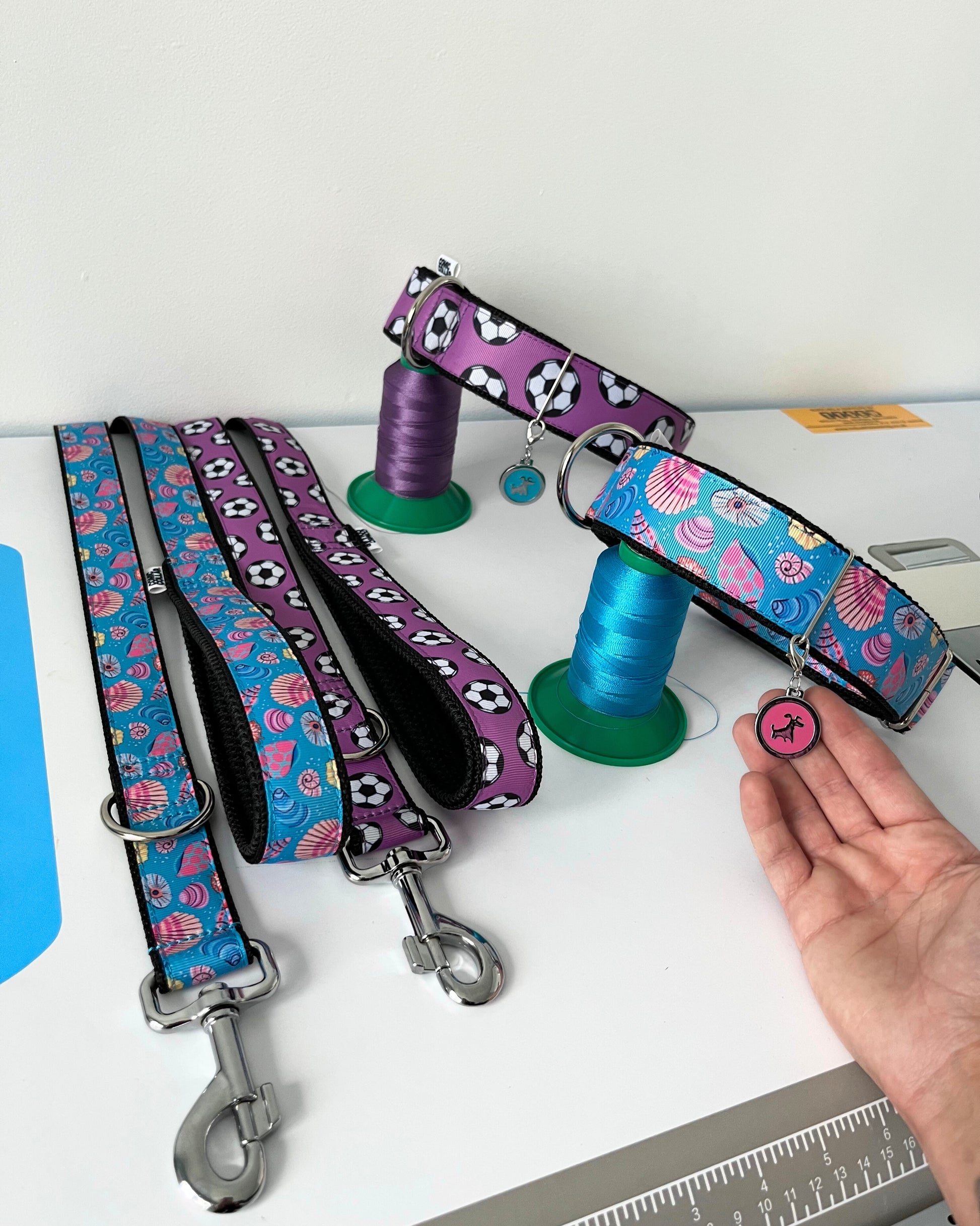 CITY LEASH - FOOTBALLS