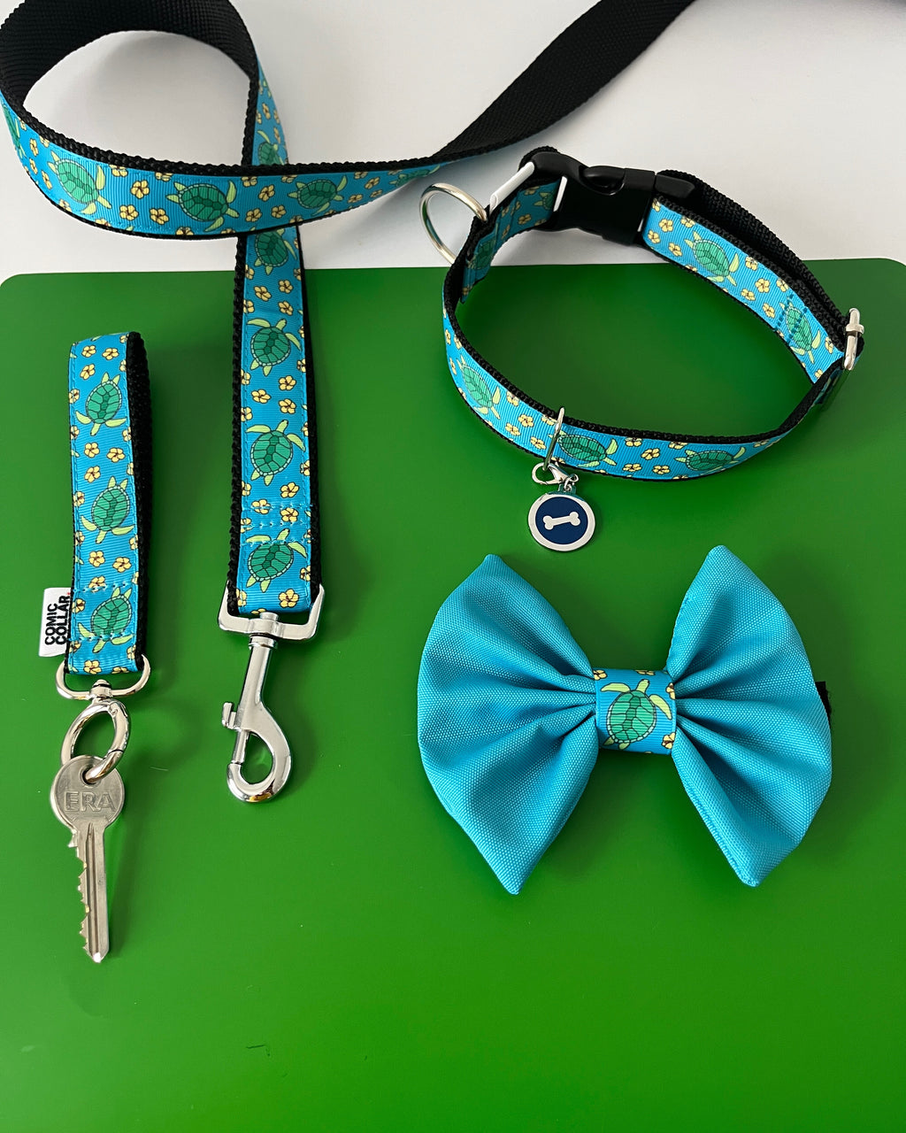 CITY LEASH - TURTLES blue