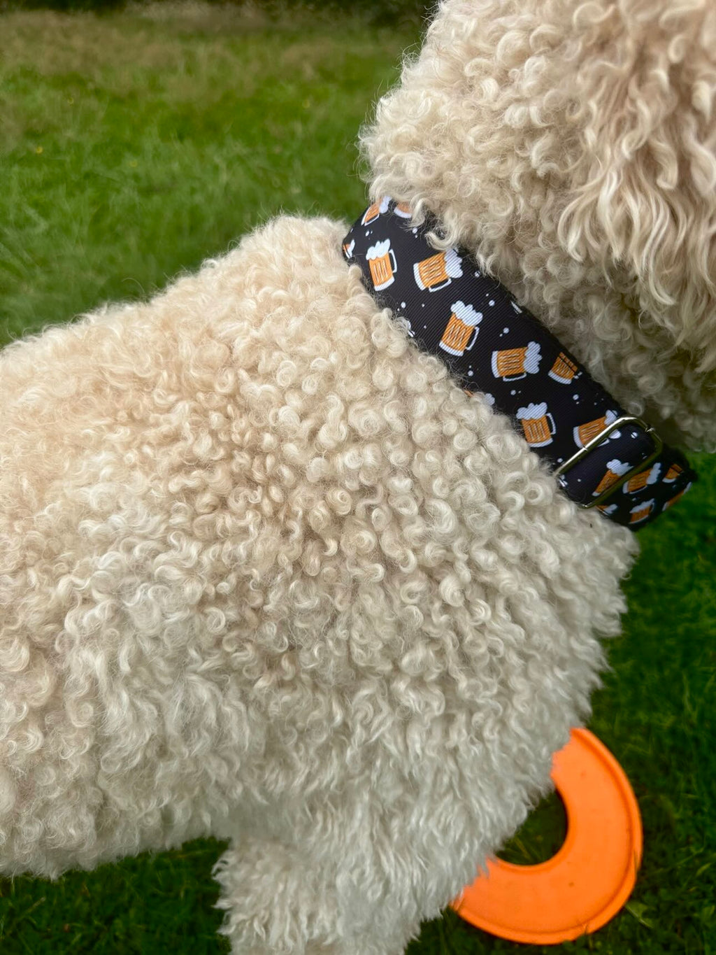 DOG COLLAR BUCKLE - BEER