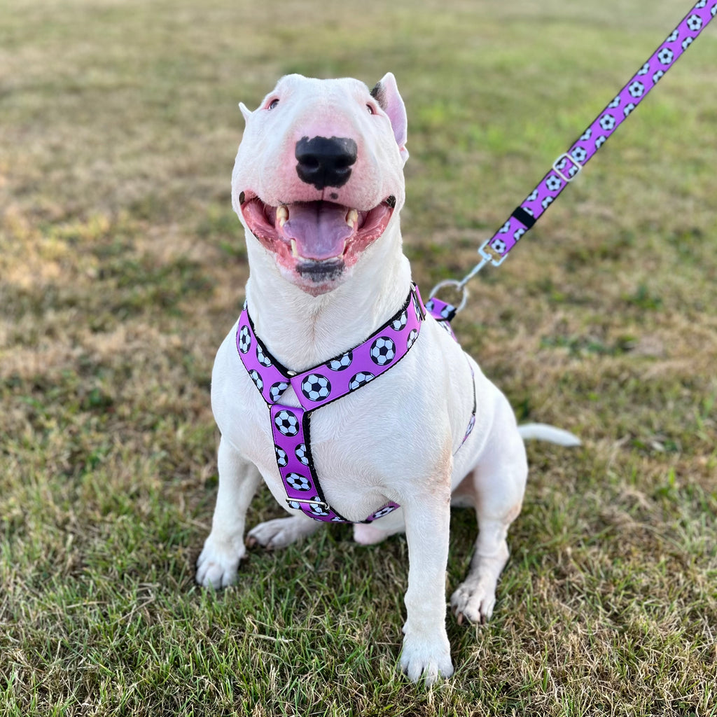 DOG HARNESS - FOOTBALLS