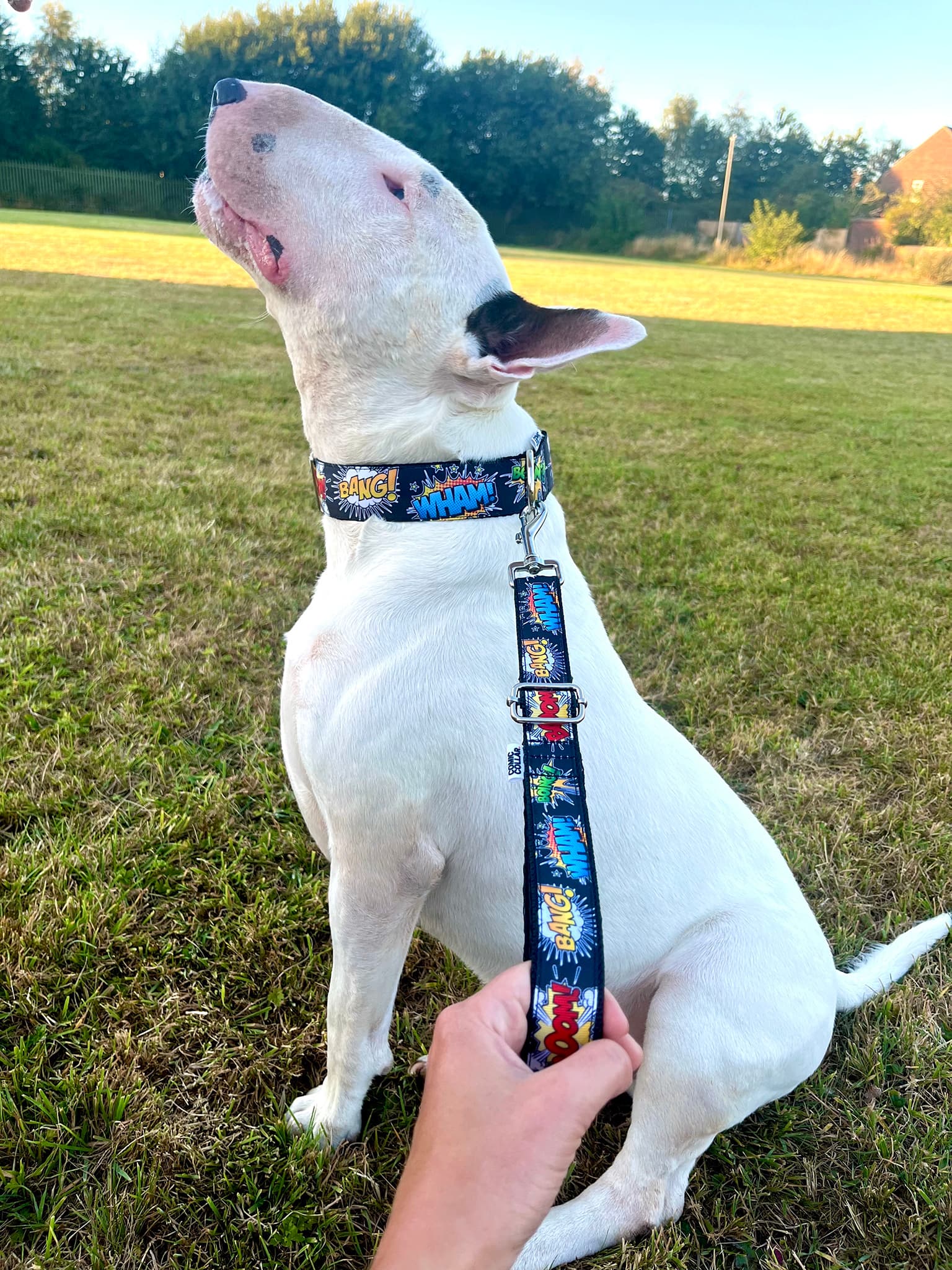 TRAFFIC LEAD - BOOM,BANG!