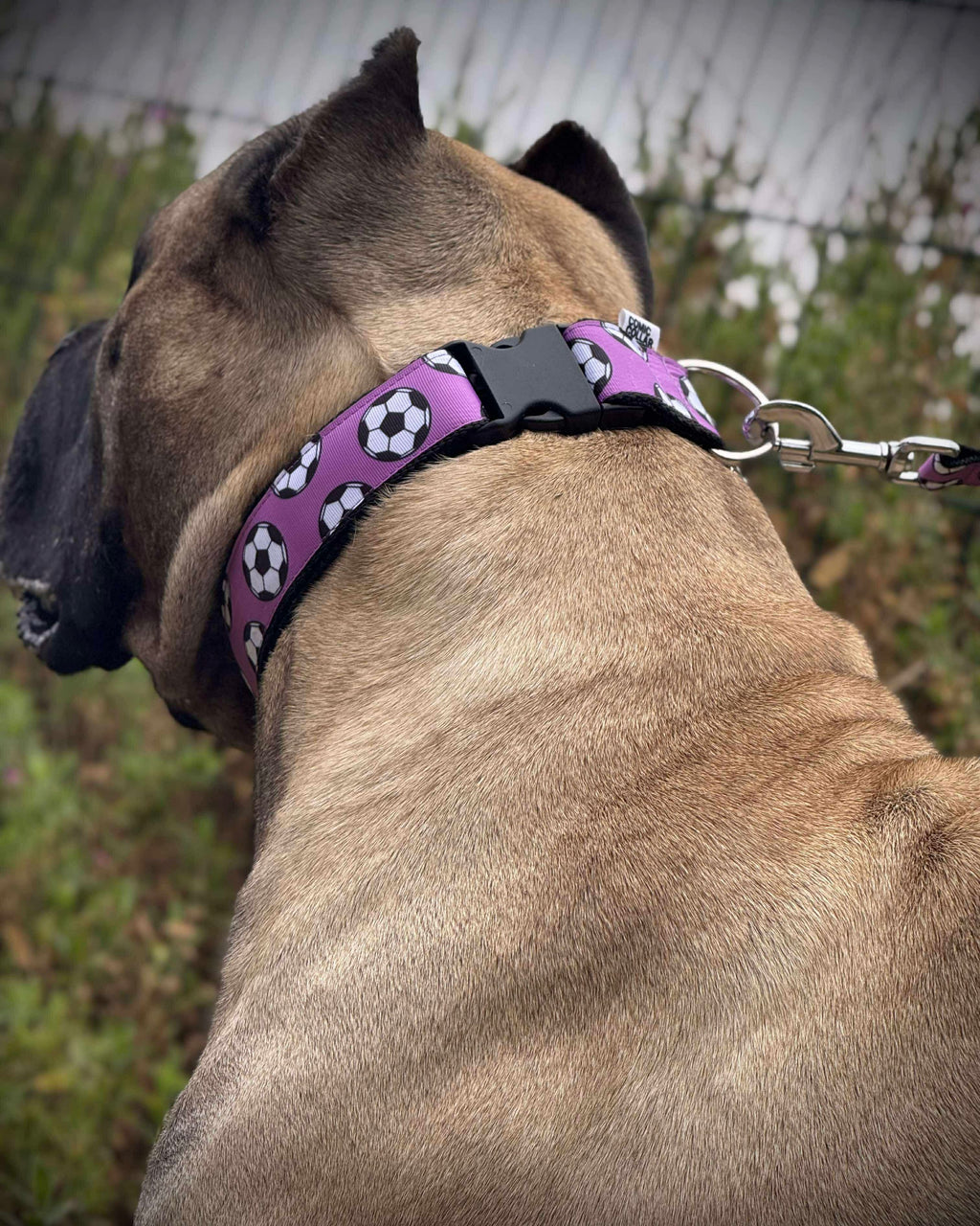 DOG COLLAR BUCKLE - FOOTBALLS