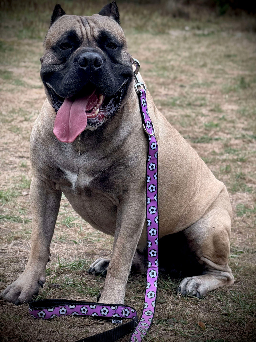 CITY LEASH - FOOTBALLS