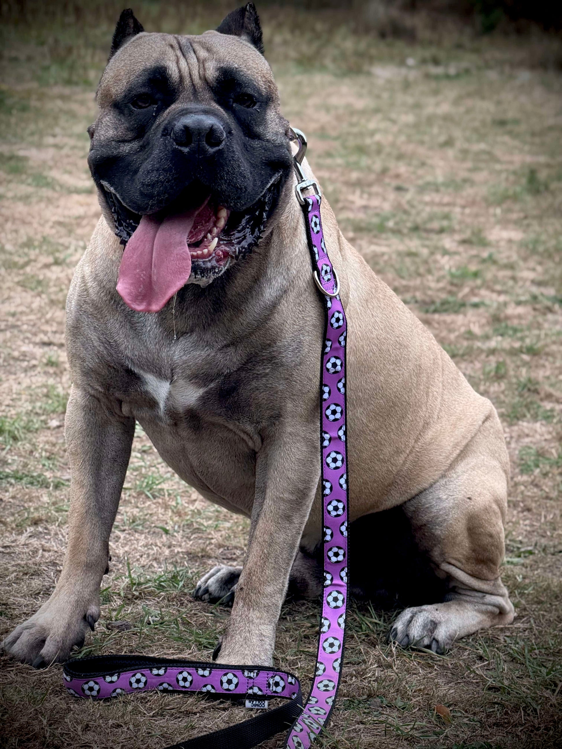 CITY LEASH - FOOTBALLS