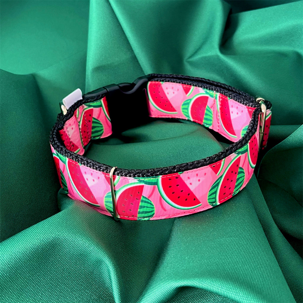 DOG COLLAR BUCKLE - WATERMELON