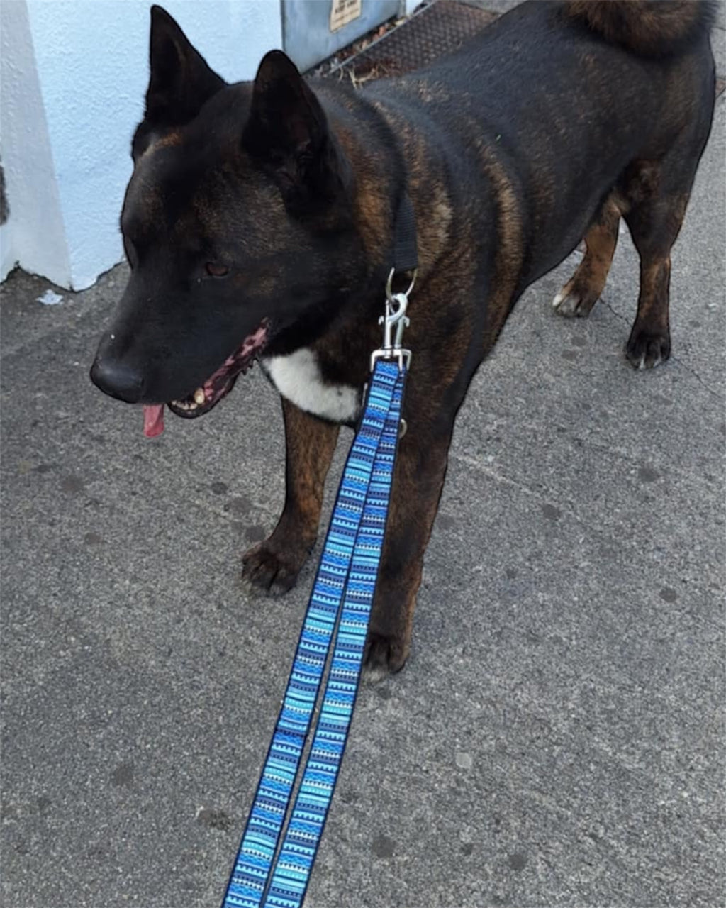 DOUBLE ENDED LEASH - AZTEC BLUE