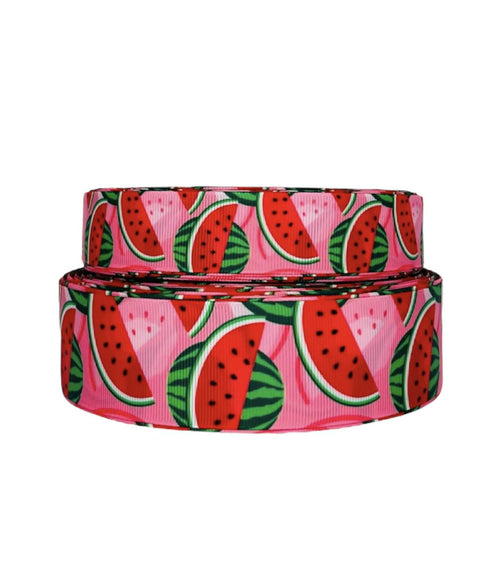CITY DOG LEASH - WATERMELON