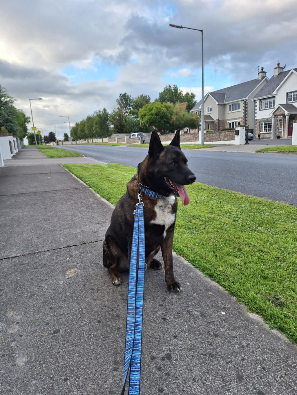 DOUBLE ENDED LEASH - AZTEC BLUE