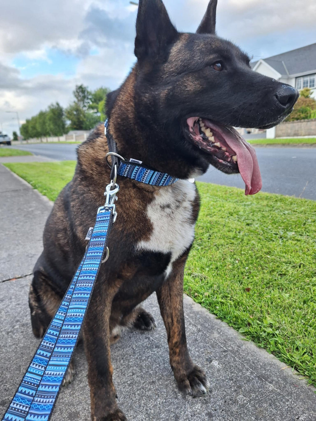 DOG COLLAR AZTEC BLUE - HALF CHOKE