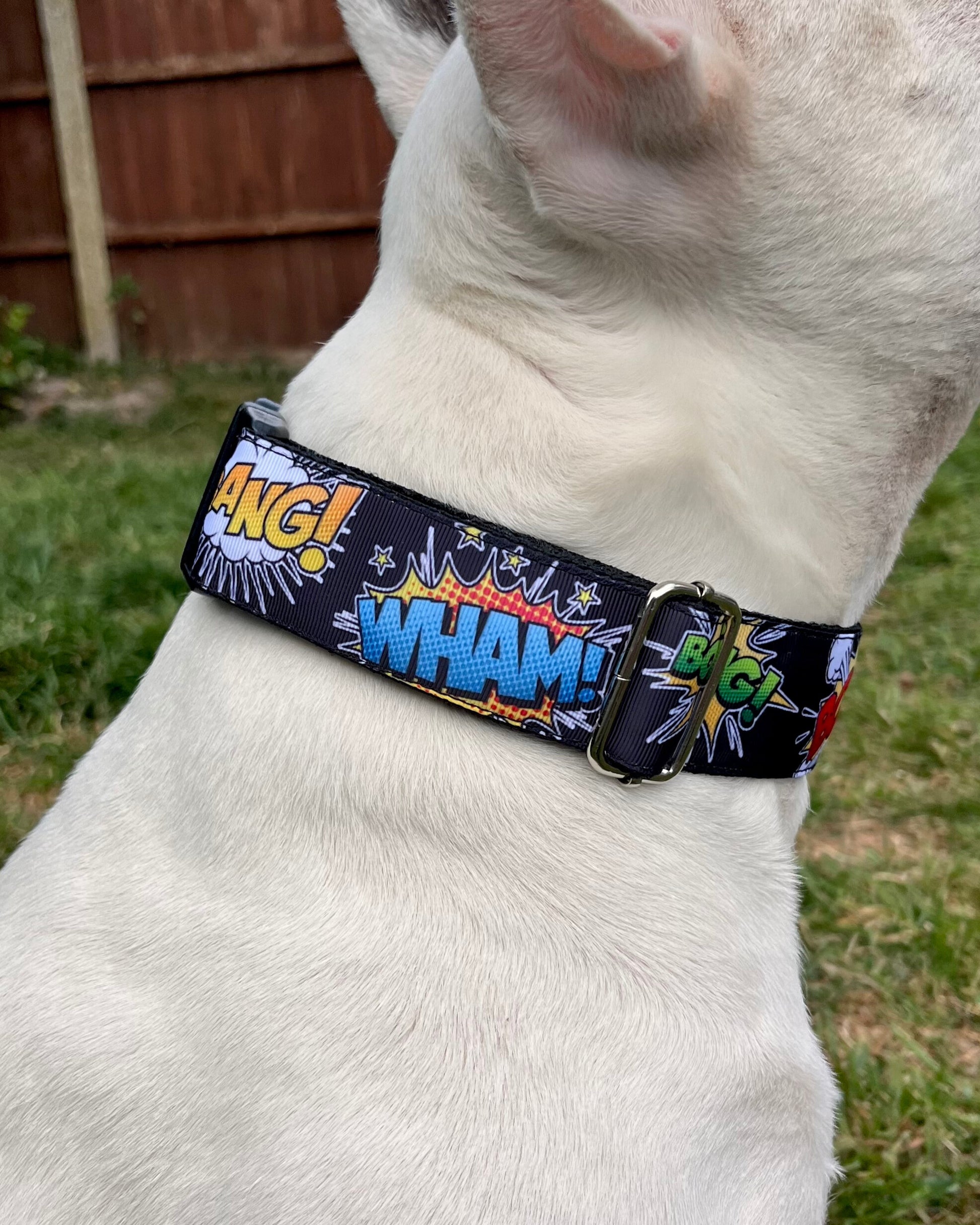 DOG COLLAR BUCKLE - BOOM,BANG!