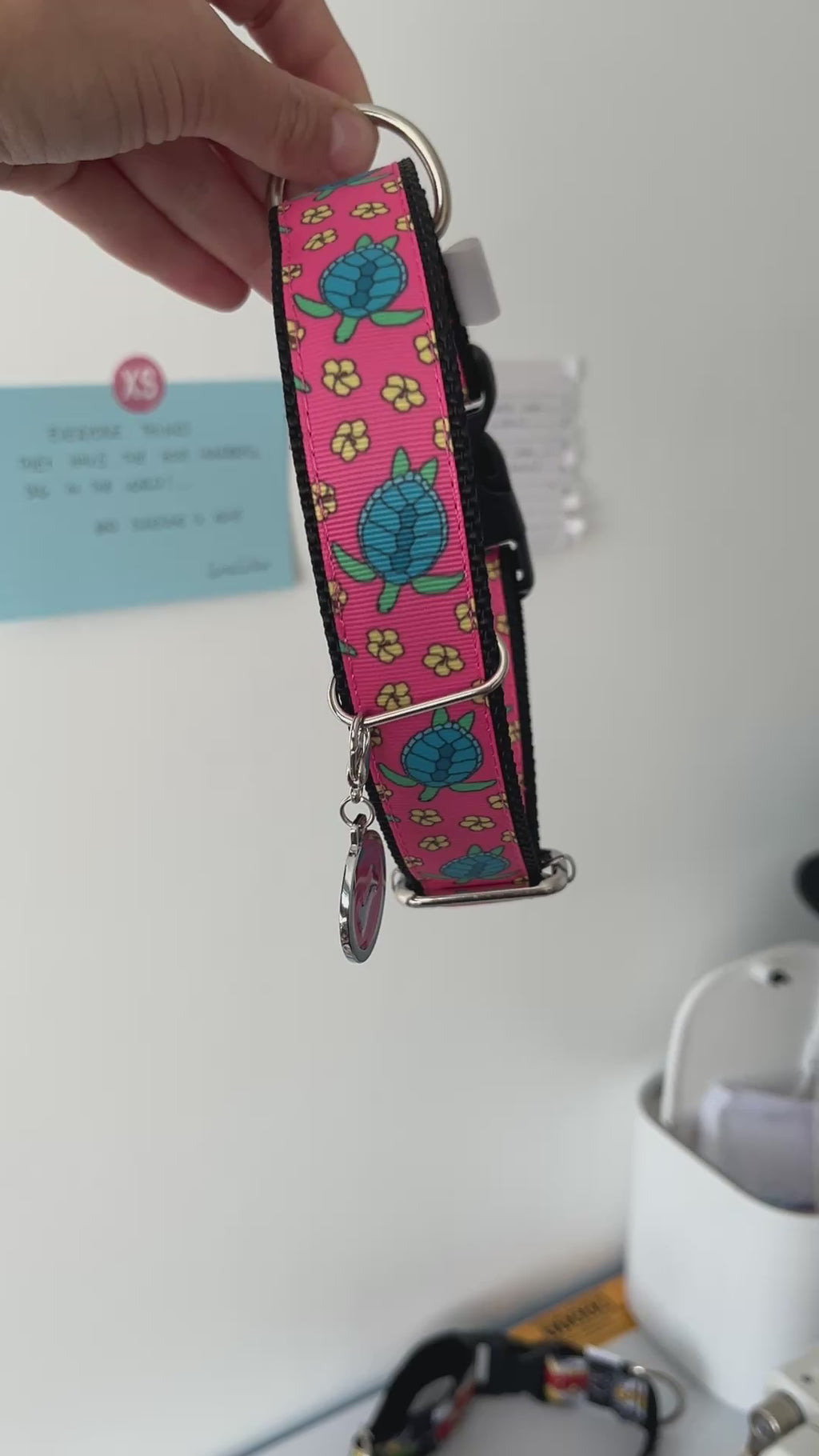 DOG COLLAR BUCKLE - TURTLES coral