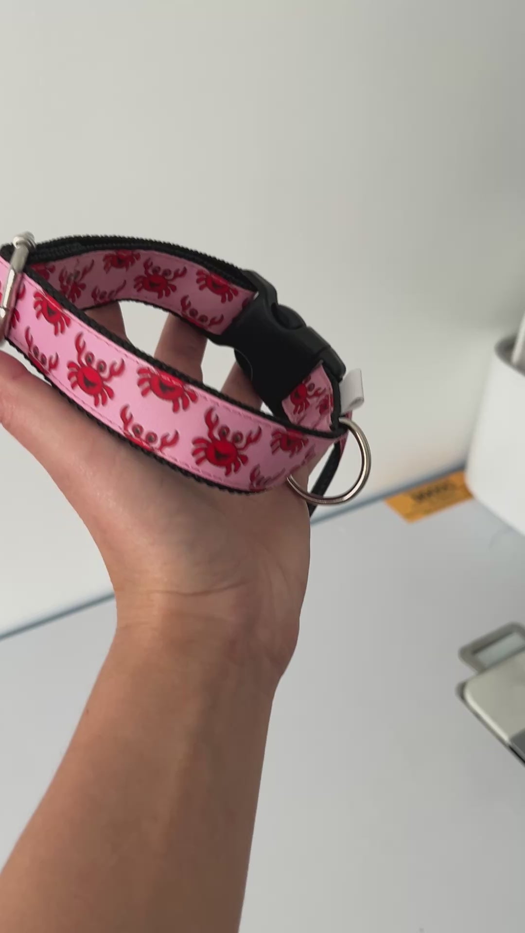 DOG COLLAR BUCKLE - CRAB