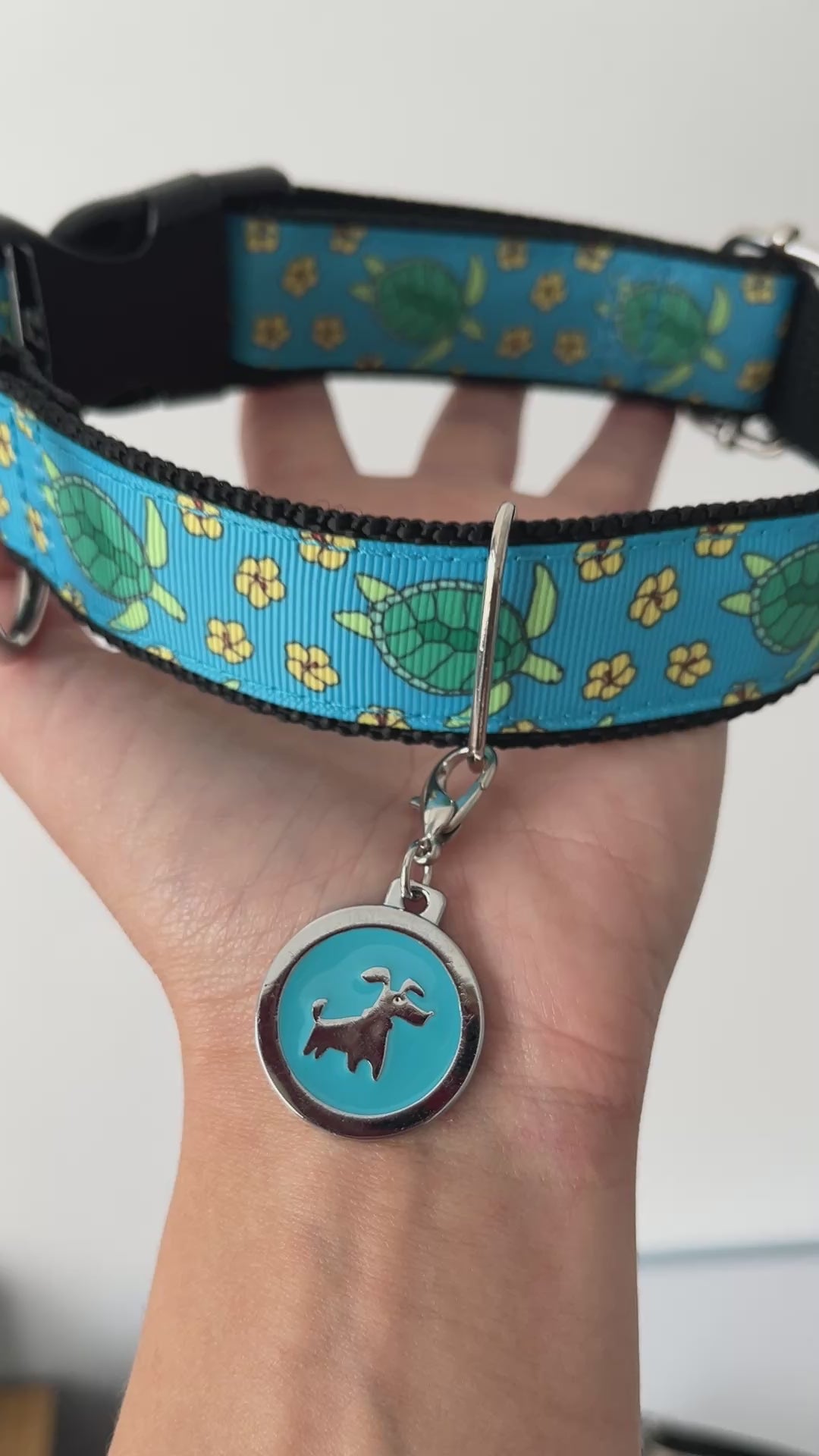 DOG COLLAR BUCKLE - TURTLES blue